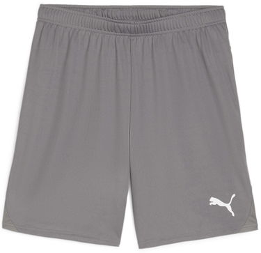 Shorts Puma teamGOAL Shorts Grå | 705752-13, 0