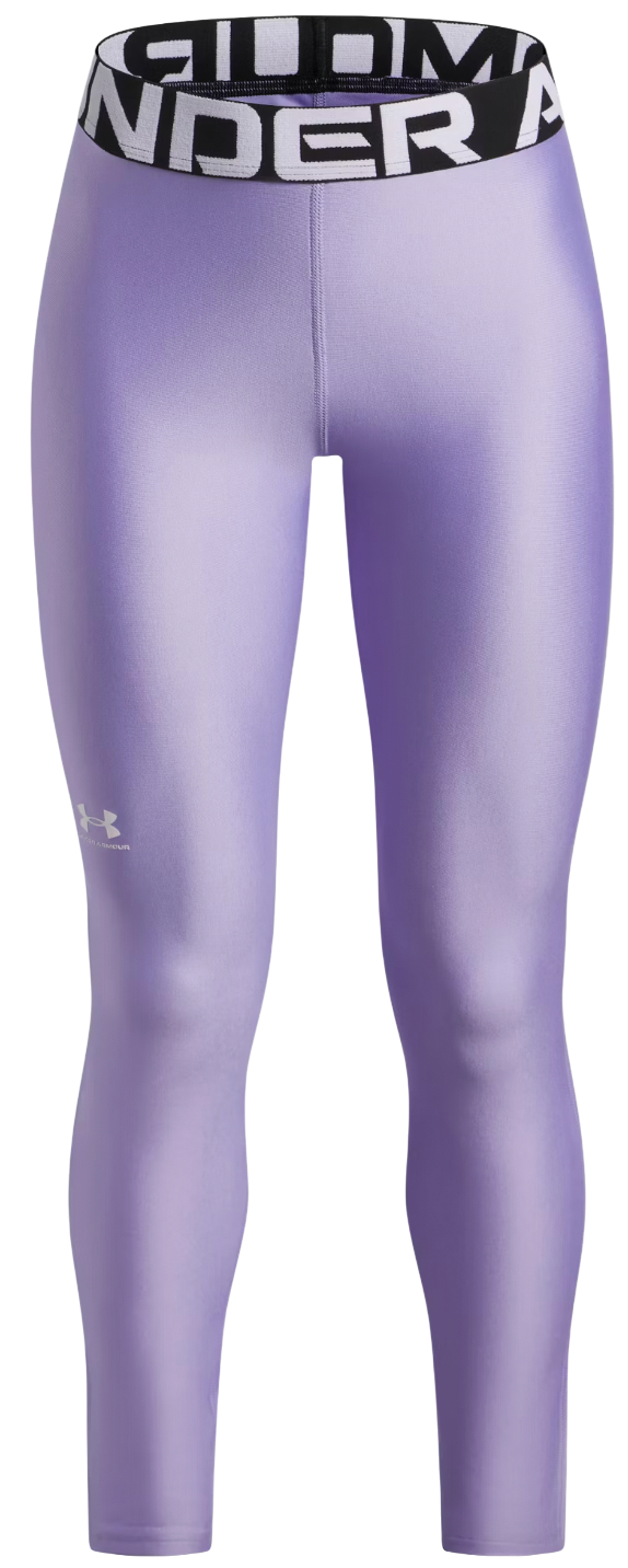 Damasker Under Armour HG Performance Legging Purpur | 1390069-538, 0