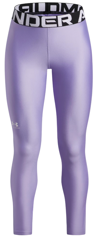 Damasker Under Armour HG Performance Legging Purpur | 1390069-538, 0