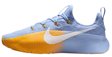 Sneakers och skor Nike LeBron TR 1 'Aluminium University Gold' Flerfärgad | FJ6151-401, 1