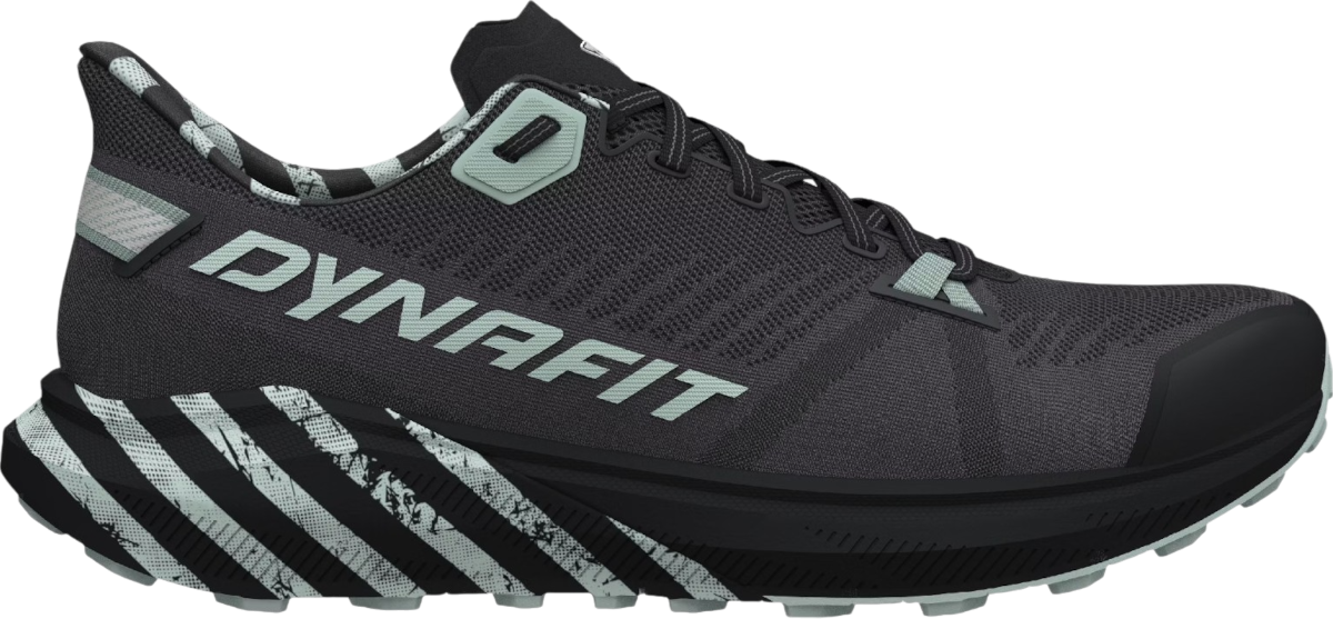 Sneakers och skor Dynafit Dynafit Trail Graphic Grå | 08-0000064114-0925, 0