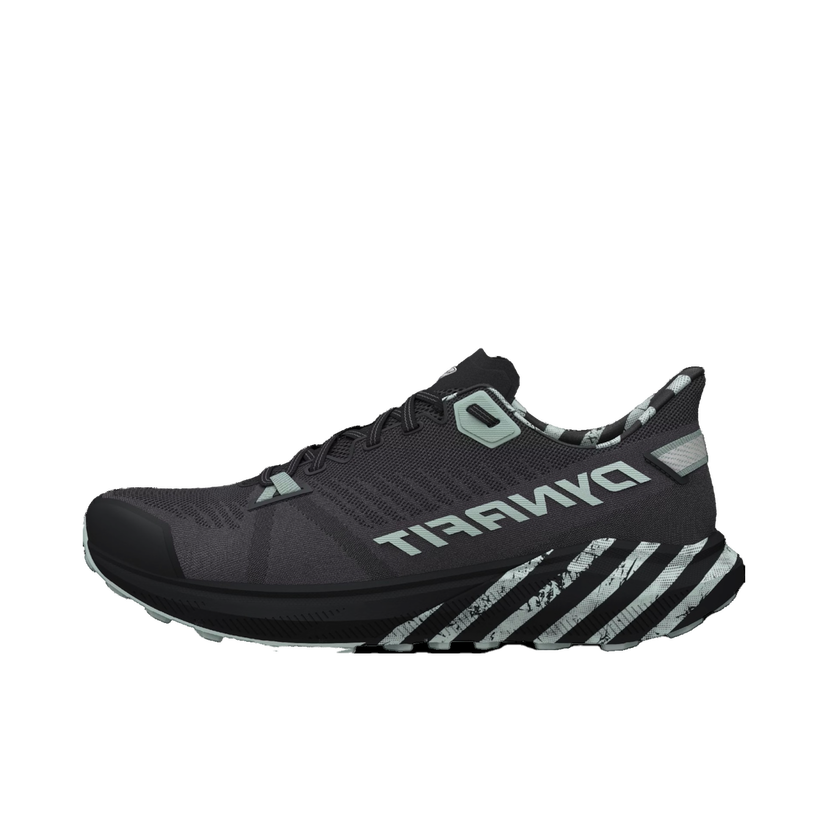 Sneakers och skor Dynafit Dynafit Trail Graphic Grå | 08-0000064114-0925
