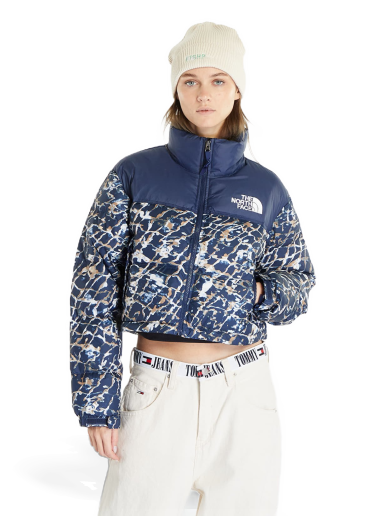 Jacka The North Face Nuptse Dusty Periwinkle Mörkblå | NF0A5GGEOTP1