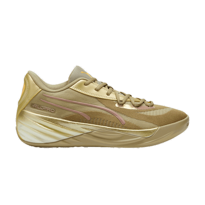 Sneakers och skor Puma All-Pro Nitro Brun | 379967-01