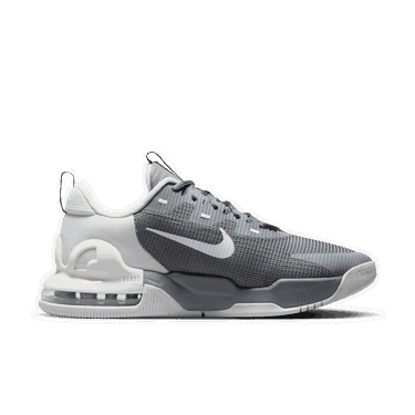 Sneakers och skor Nike Air Max Alpha Grå | DM0829-007, 1