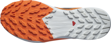 Sneakers och skor Salomon SENSE RIDE 5 GTX Svart | l47459400, 4