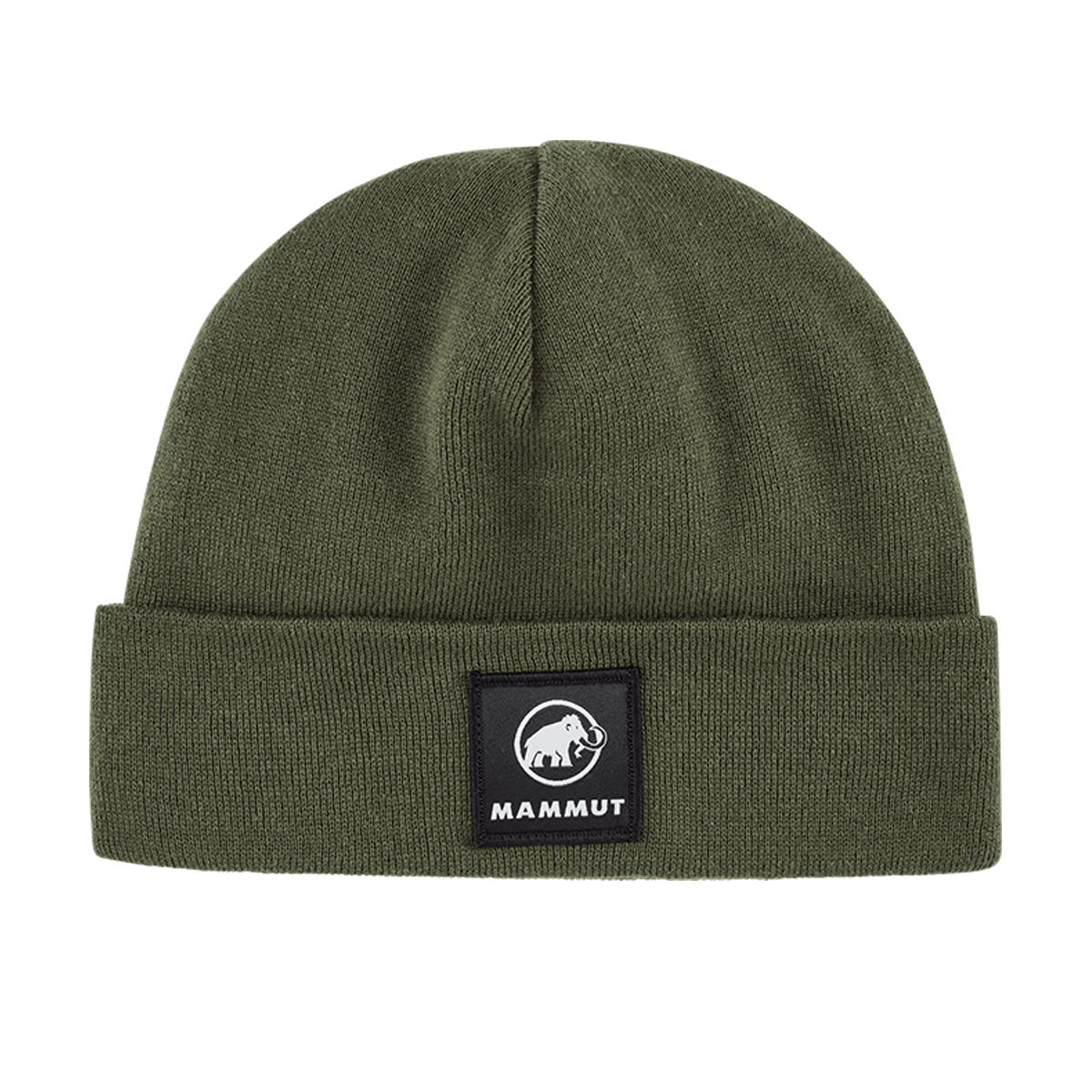 Mössa Mammut Fedoz Knitted Beanie Grön | 1191-01090-40284, 0