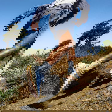 Sneakers och skor adidas Performance TERREX SOULSTRIDE FLOW Blå | hp5565, 5