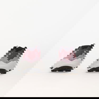 Sneakers och skor adidas Performance Terrex Agravic 3 W Purpur | IG6583, 4