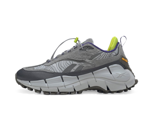 Löpning Reebok Zig Kinetica 2.5 Grå | GX6832