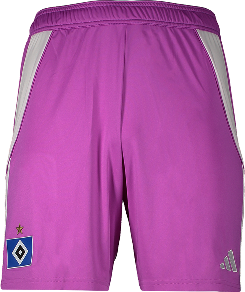 Shorts adidas Originals Hamburger SV Goalkeeper Shorts 2025/26 Purpur | 6hsvji6089