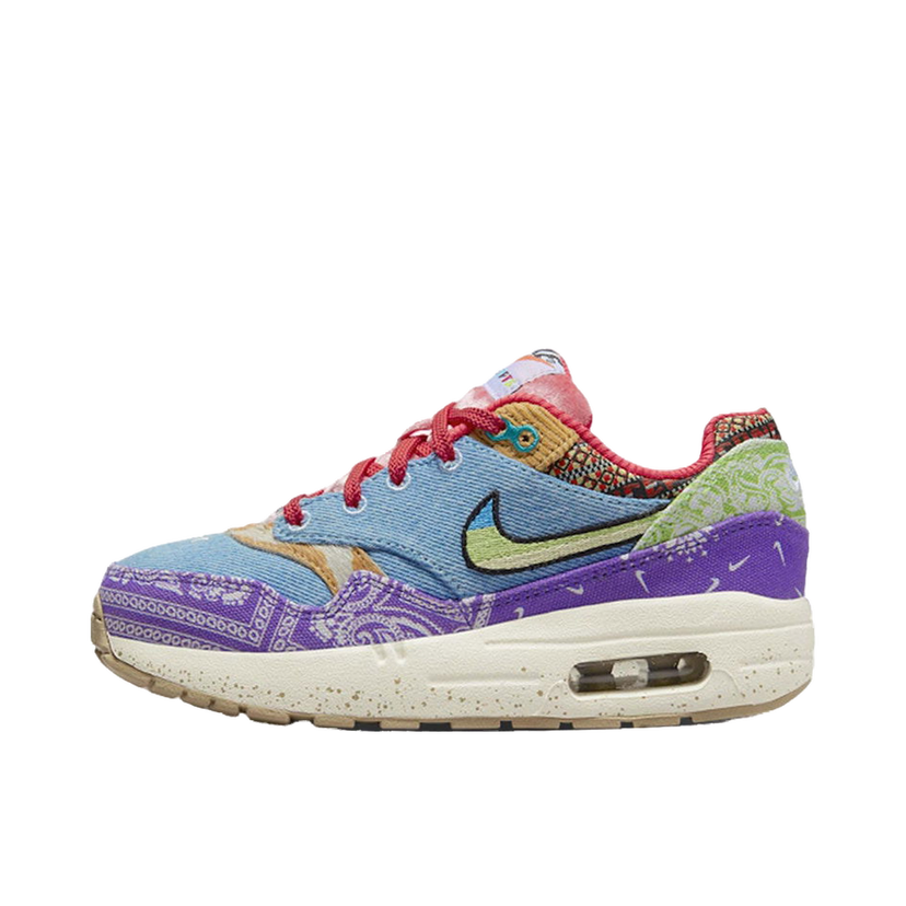 Sneakers och skor Nike Air Max 1 SP Concepts Far Out Flerfärgad | DR2362-100