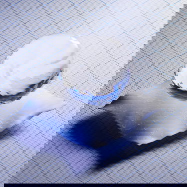 Vindjacka adidas Performance Myshelter Rain.Rdy Jacket Gul | IM8529, 3