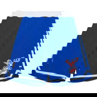 Mitchell & Ness Chicago Bulls NBA HWC Shorts