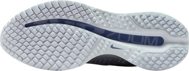 Sneakers och skor Nike Pegasus Premium Blå | hq2593-006, 4
