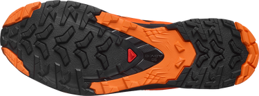 Sneakers och skor Salomon Salomon XA PRO 3D V9 GTX Orange | l47961000, 2