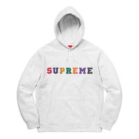 Hooded Sweatshirt With Multicolor Logo Print