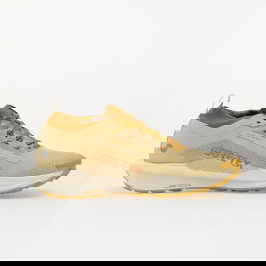 Sneakers och skor Nike React Pegasus Trail 5 GTX SP Beige | HQ7494-700, 2