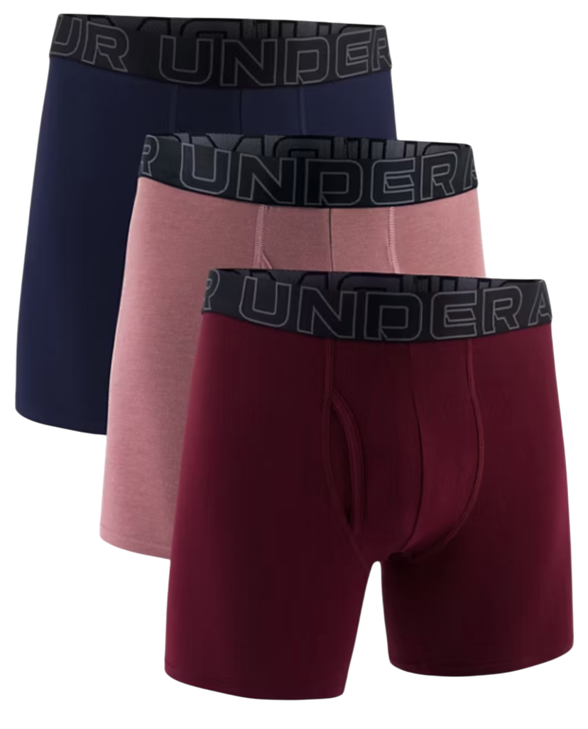 Boxare Under Armour Under Armour SOLID 6in 3 Pack Boxer Shorts Flerfärgad | 1383889-651