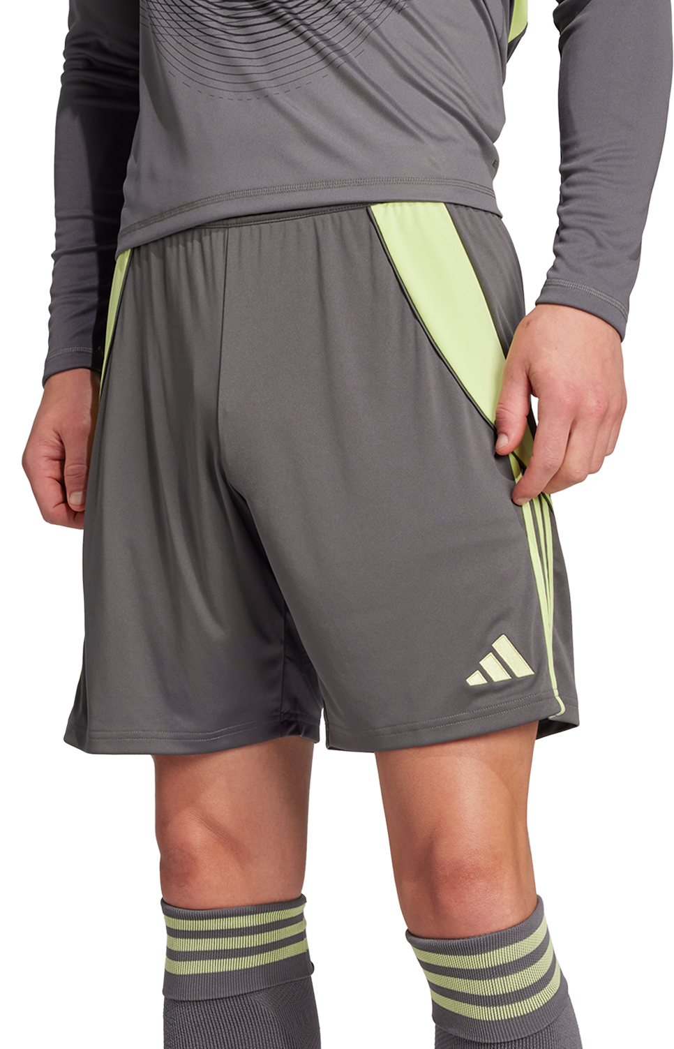 Shorts adidas Performance adidas TIRO24 Training Shorts Grå | jn1993, 0