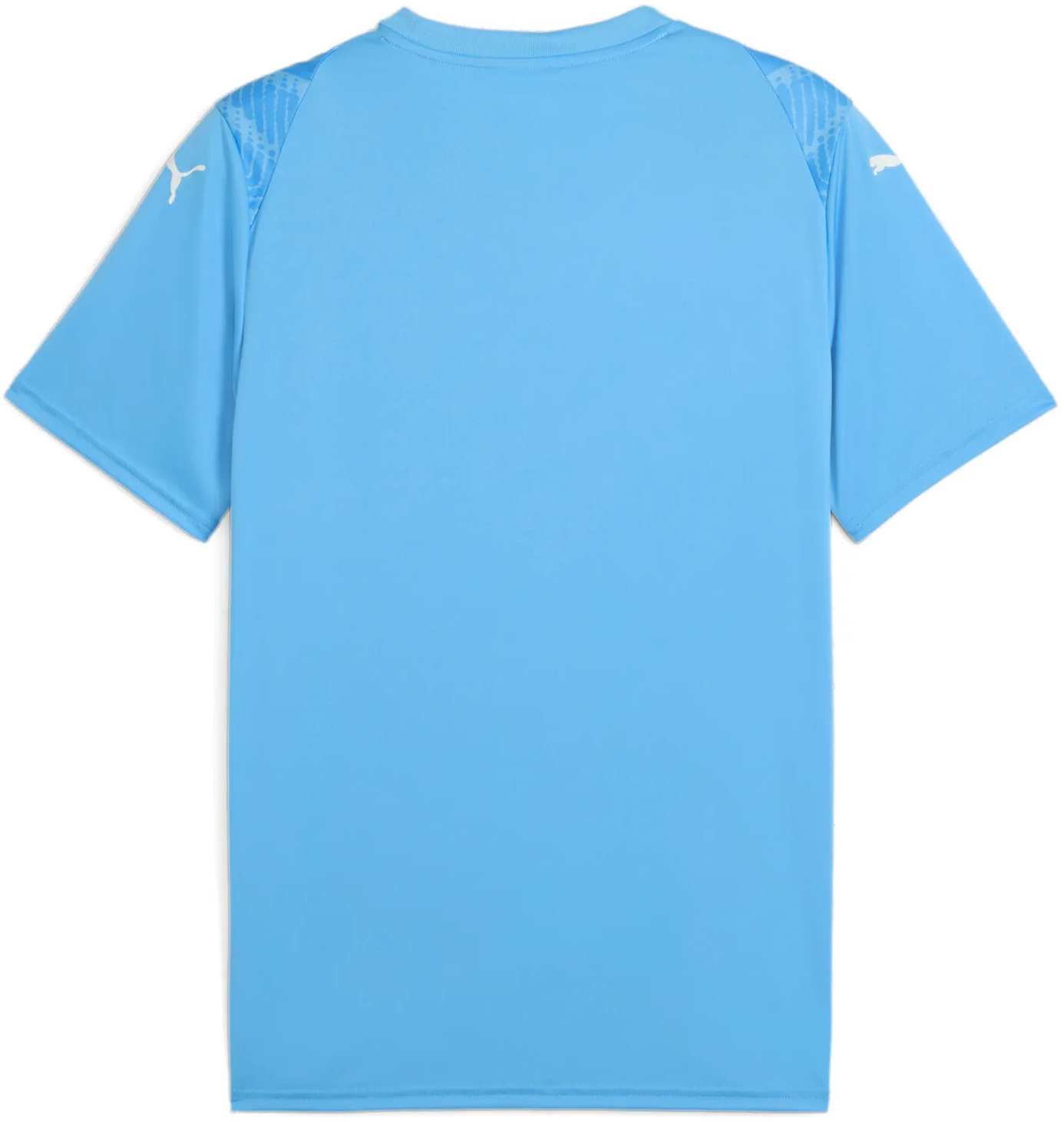 T-shirt Puma Puma teamULTIMATE Jersey Blå | 706280-18, 1