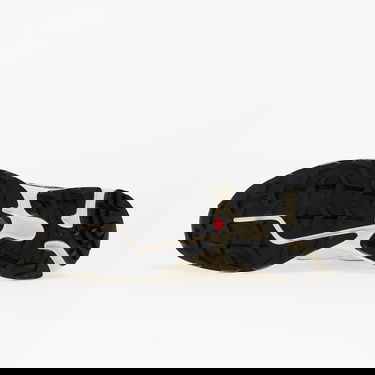 Sneakers och skor Salomon XT-6 Expanse Beige | L47859200, 1