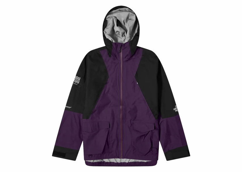 Parkas The North Face Packable Mountain Shell Jacket Purpur | 87UE