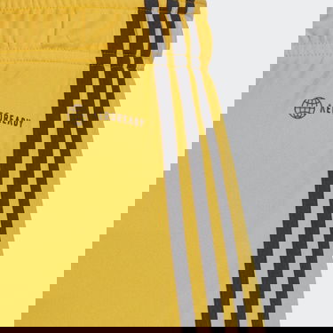 Shorts adidas Performance Benfica 22/23 Shorts Gul | HK0333, 3