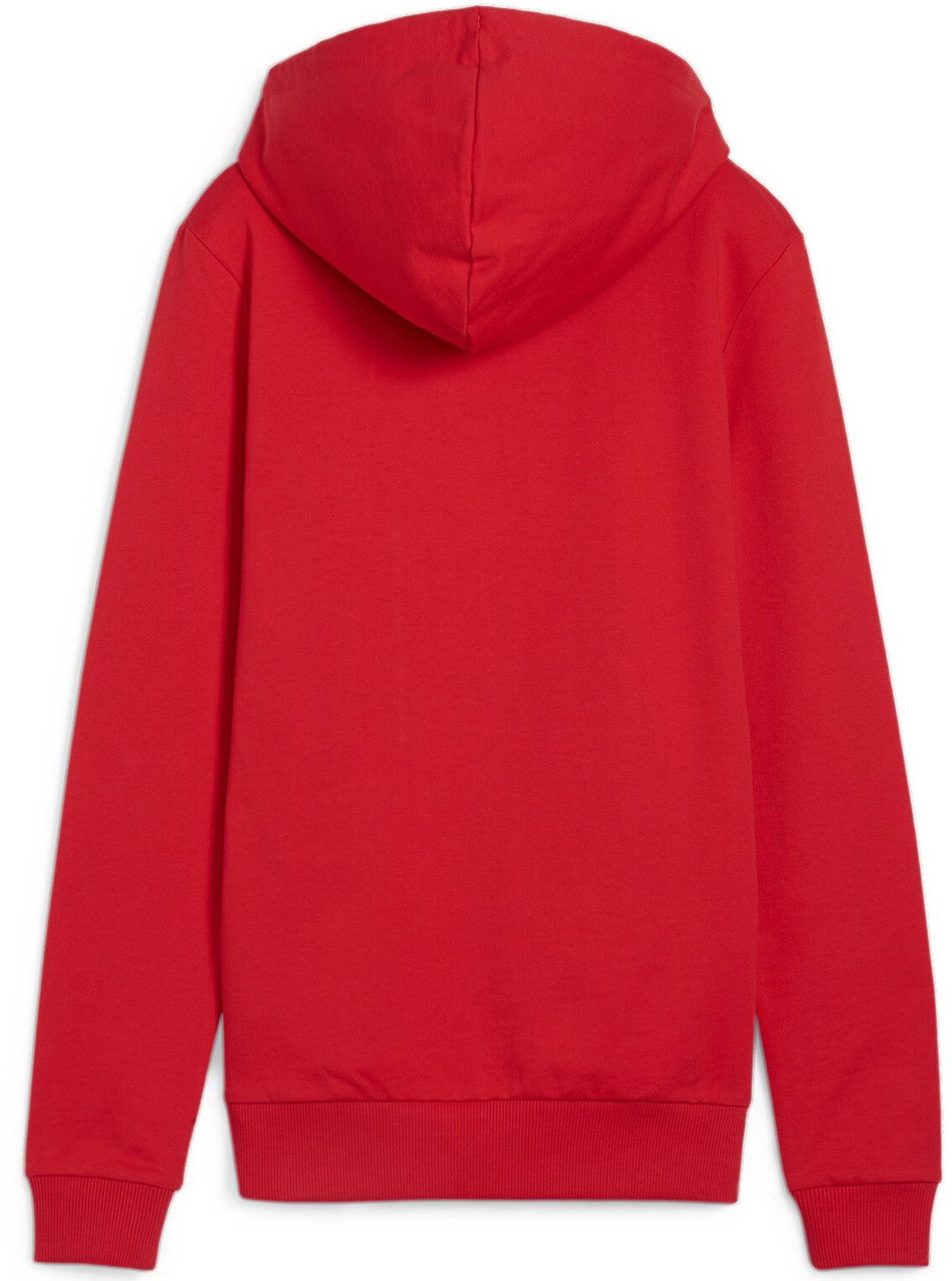 Sweatshirt Puma teamGOAL Casuals Hoody Womens Röd | 658621-01, 1