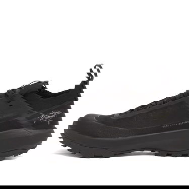 Sneakers och skor Arcteryx Vertex Alpine Gore-Tex Svart | X000009602-021572, 0