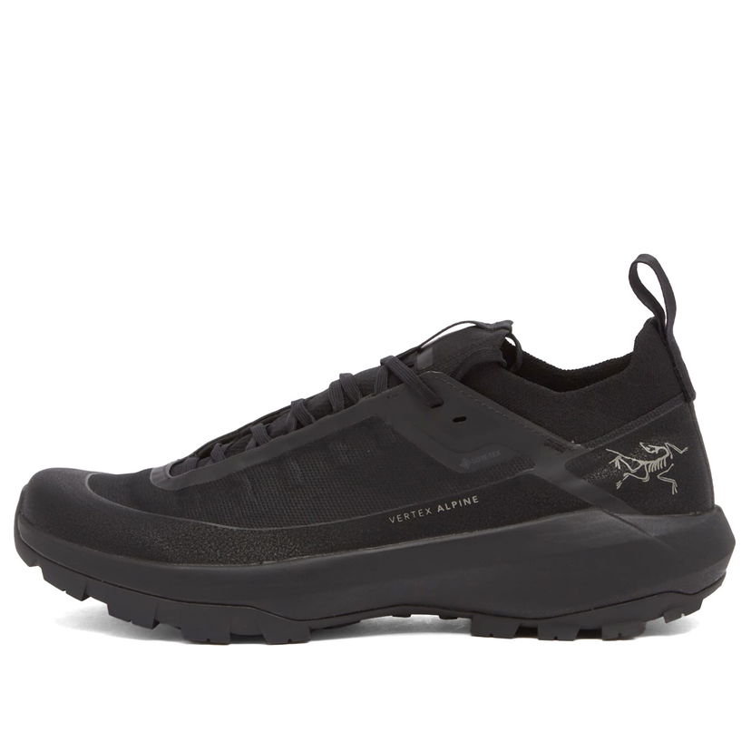 Sneakers och skor Arcteryx Vertex Alpine Gore-Tex Svart | X000009602-021572