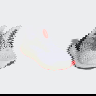 Sneakers och skor adidas Performance Ultraboost 2 DNA Grå | GY5373, 6