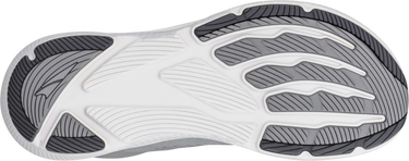 Sneakers och skor Altra Running Altra Experience Flow 2 Grå | al0a85re-2201, 1