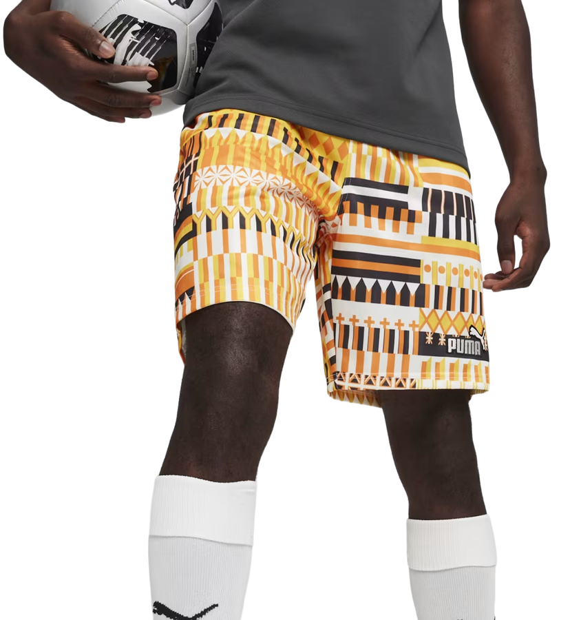Shorts Puma FanwearCapsule Short Flerfärgad | 658967-17