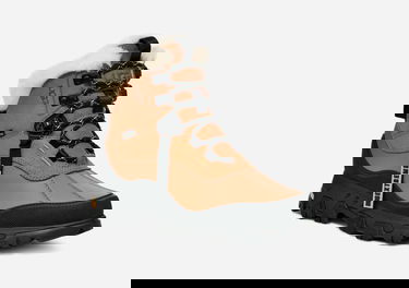 Sneakers och skor UGG Adirondack Meridian Hiking Boots Brun | 1169032-CHE, 1