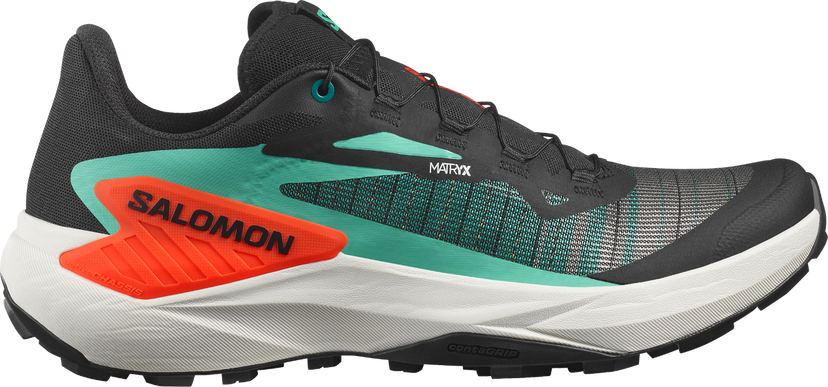 Löpning Salomon GENESIS Svart | l47688200