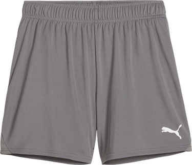 Shorts Puma Puma teamGOAL Handball Shorts Grå | 706019-13, 1