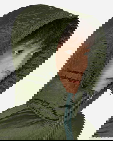 Pufferjacka Stone Island Nylon Metal Hooded Down Jacket Grön | 771543619-V0058, 5