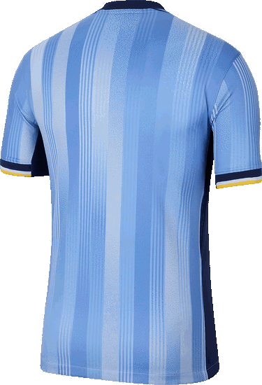 Jersey Nike THFC M NK DF JSY SS STAD AW 2024/25 Turkos | fn8788-480, 1