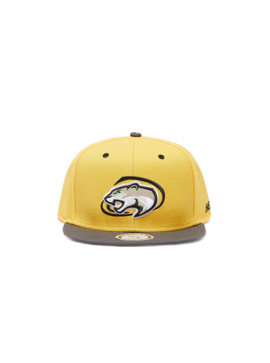 Keps Puma x Hometown Heroes Basketball FB Cap Spectra Gul | 02369402