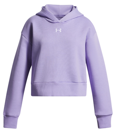 Sweatshirt Under Armour Rival Fleece Hoodie Purpur | 1379517-538, 0