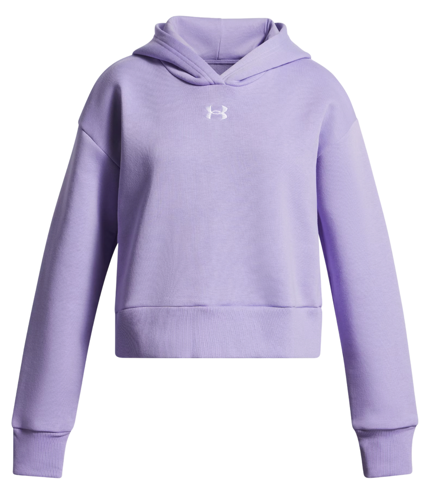 Sweatshirt Under Armour Rival Fleece Hoodie Purpur | 1379517-538