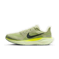 Pegasus 41