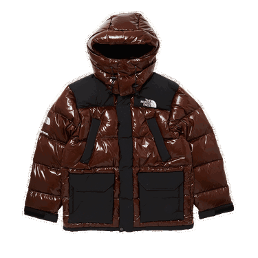 Parkas Supreme The North Face x 700-Fill Down Parka Brun | FW22J6 BROWN, 0