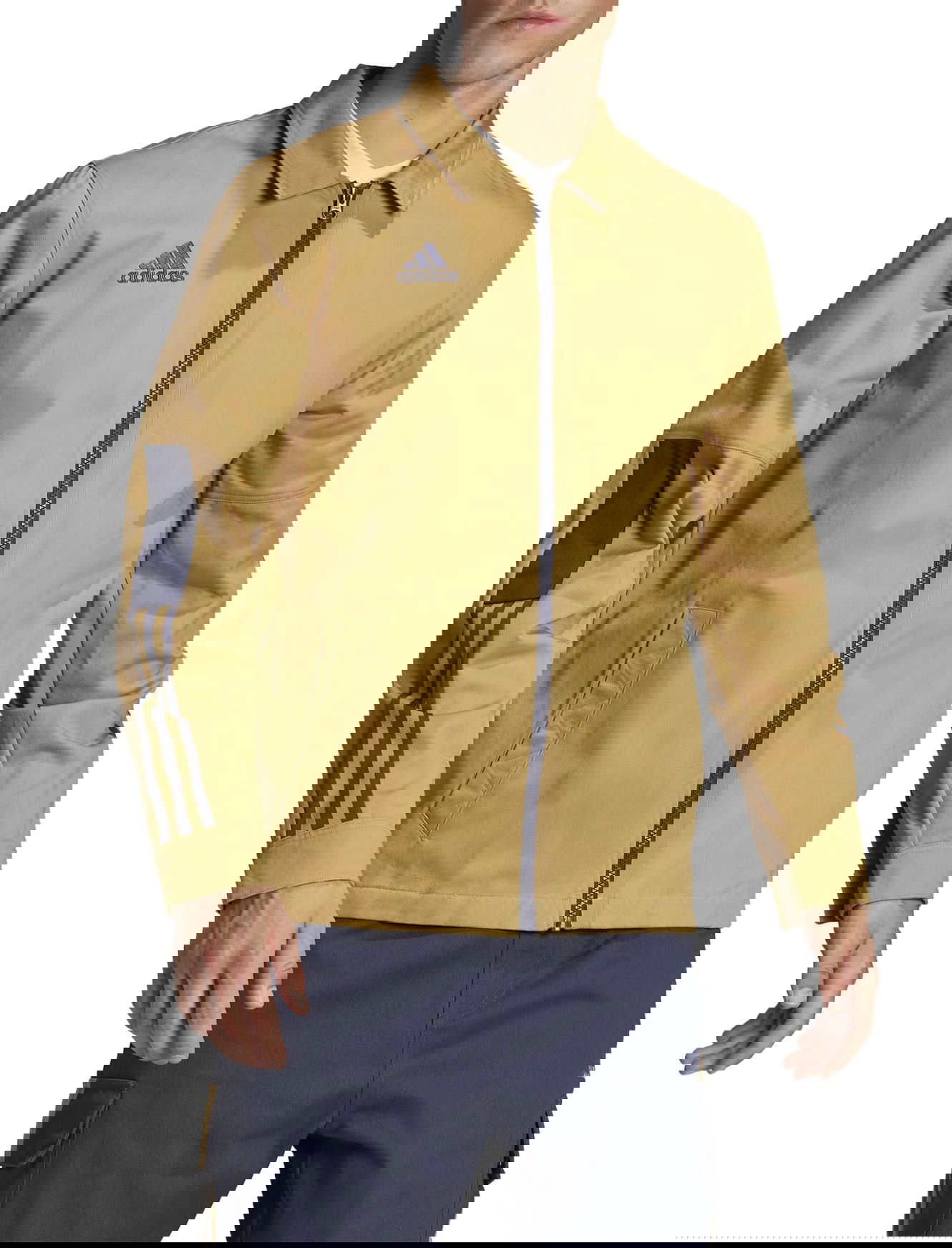 Vindjacka adidas Performance Tiro Windbreaker Beige | h56616, 0