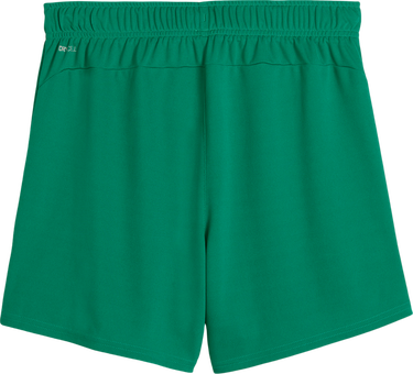 Shorts Puma Puma teamGOAL Handball Shorts Grön | 706019-05, 1