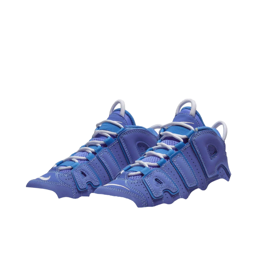 Sneakers och skor Nike Air More Uptempo Purpur | DM1026-400